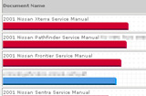Nissan Publications custom metrics page